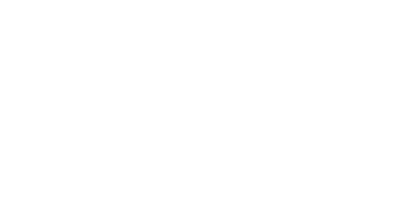 WordPress Logo